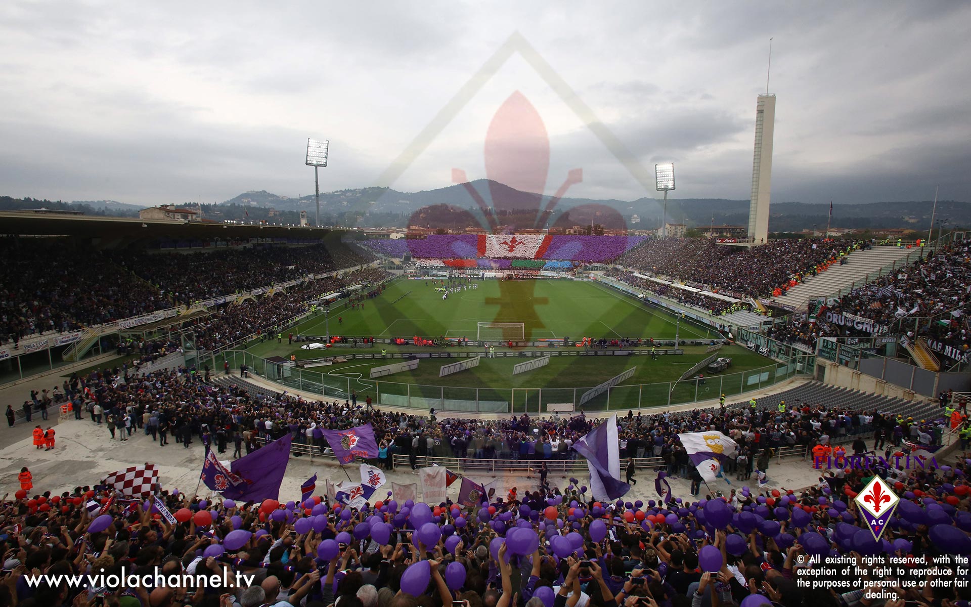 Stadio Artemio Franchi